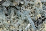 Aquamarine Crystal Cluster on Schorl and Feldspar - Namibia #346204-2